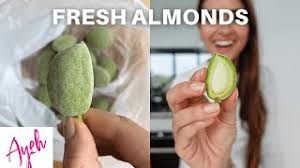 Image result for fresh green almonds