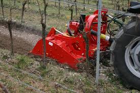 Image result for seppi tehron