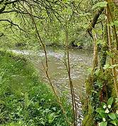 Image result for Bideford and District Angling Club