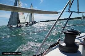 Image result for Ashdown Sailing Club