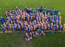 Image result for Clann Na Ngael