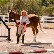 Image result for The Riding Centre