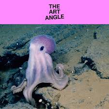 Image result for Spectrum Angels Octopush Club