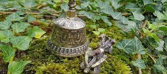 Image result for dordzse