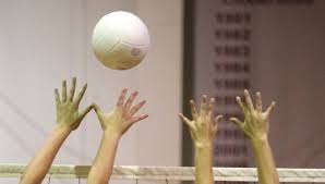 Image result for Beacon Volleyball Club