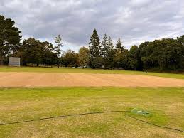Image result for Horrington Cricket Club