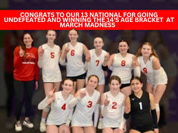 Image result for Cheltenham Cobras Volleyball Club