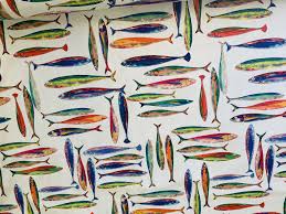 Image result for vissen