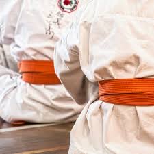 Image result for Harpenden JKA Karate