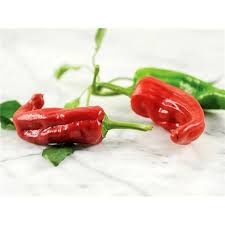 Afbeeldingsresultaat voor numex chimayo hot pepper