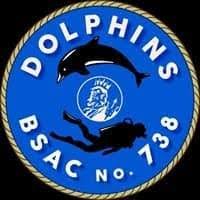 Image result for Dolphin Sub Aqua