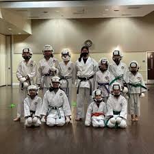 Image result for Ataru Shotokan Karate Club