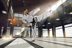 Image result for Action Karate