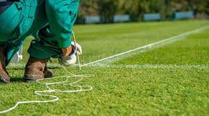Image result for Pitch marking blog