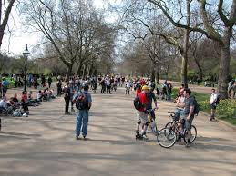 Image result for Sunday Rollerstroll