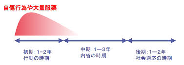 Image result for 衝動制御障害BPD