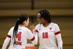 Image result for York University Volleyball Club