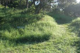 Image result for Calstock Smbc