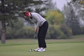 Image result for Amber Valley Gc