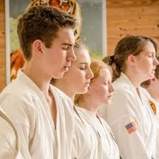 Image result for York University Karate Club