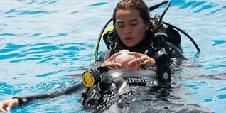 Image result for Looe Diving Club