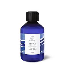 Attēlu rezultāti vaicājumam “Hamamelis”