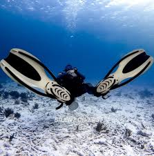 Image result for Divemaster Scuba