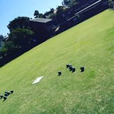 Image result for Langley Bowling Club