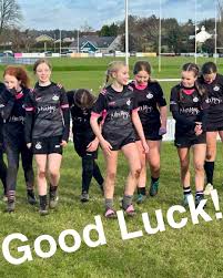 Image result for Ards Rugby Football Club