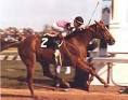 Affirmed: 1978 Triple Crown Winner