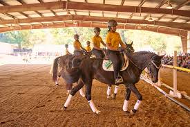 Image result for Weybridge Equestrian Centre