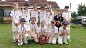Image result for Luctonians Cricket Club