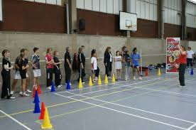 Image result for Solihull Borough Bad Squad Badminton Club