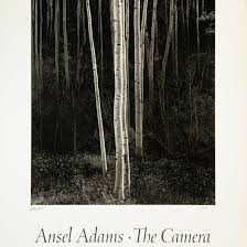 Image result for Ansel Adams Aspens New Mexico