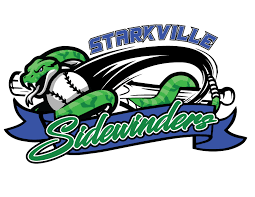 Image result for Sidewinders Baseball Club