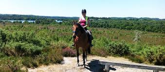 Image result for Elstead Riding Club