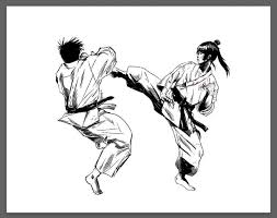 Image result for Budo Shin Ryu Kempo Jujitsu Academy