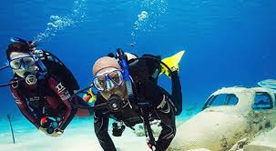 Image result for Seabug Divers
