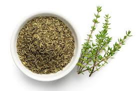 Image result for Thymian