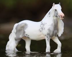 Image result for White Horse Model Club