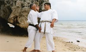 Image result for GoJu-Kai Karate Club