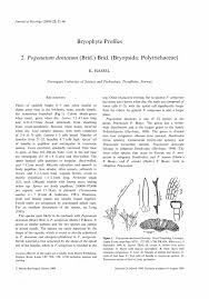 Attēlu rezultāti vaicājumam “Pogonatum dentatum”