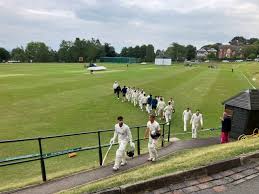Image result for Malvern Cricket Club