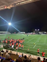 Image result for Warwick Wolves