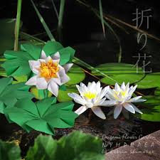 Attēlu rezultāti vaicājumam “Nymphaea alba flower”