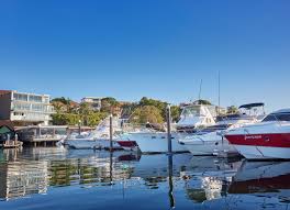 Image result for Royal Docks Rowing Club