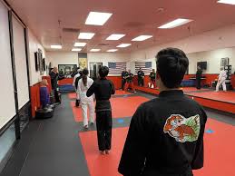 Image result for Newport Kyokushin Karate Club