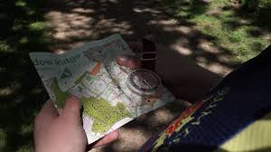 Image result for Essex Stragglers