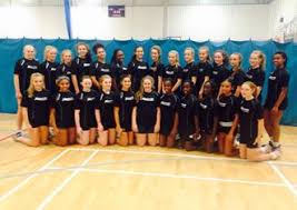 Image result for Icons Netball Club