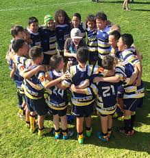 Image result for Mayfield Rugby League Football Club